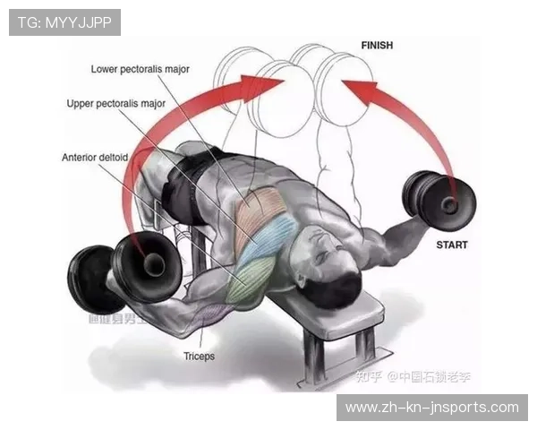 飞鸟多功能组合器械解锁科学健身方案